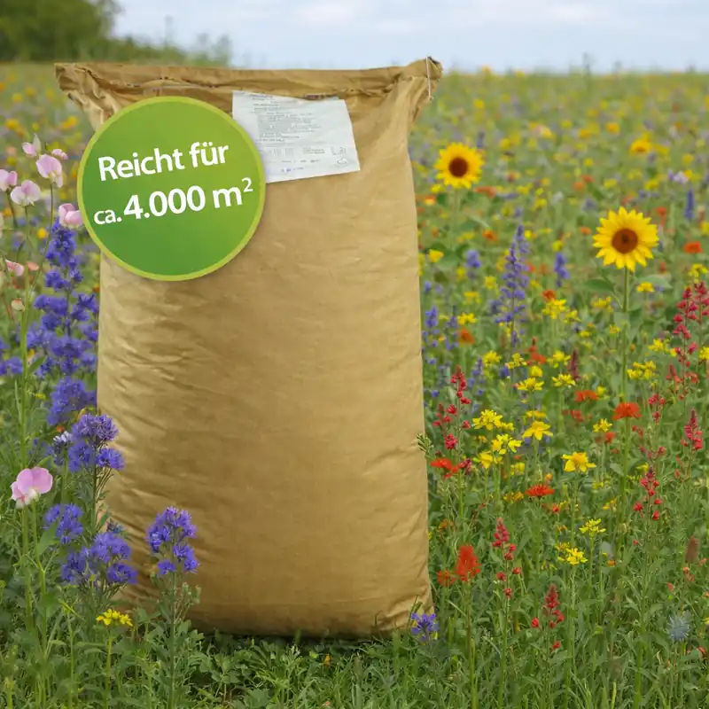 Geprüft Blühmischung für 4.000 m² – 10 kg – Lippstädter Blütenparadies (Profi-Flächenmischung)