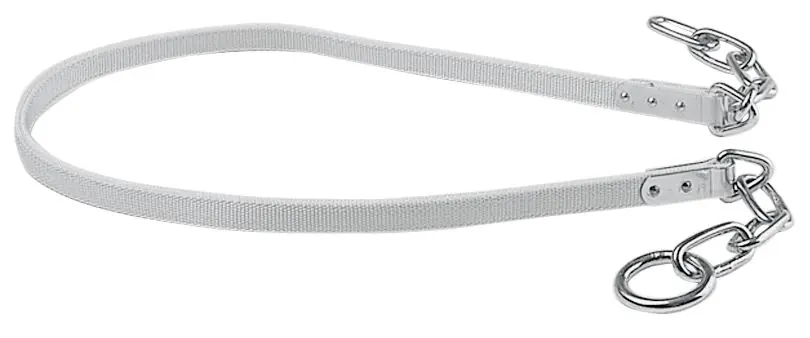 Bestseller Rinderanbindung TYP W 170 cm lang mit Metallkauschen
