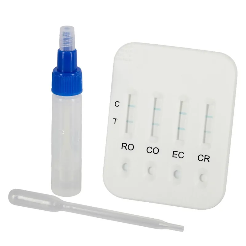 Direktkauf Durchfalltest für Kälber – Kerbl 5er Pack | E. coli, Rota, Corona, Kryptosporidien