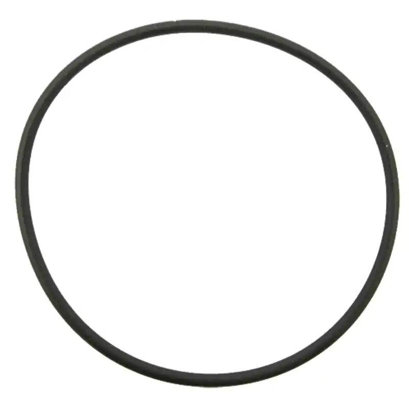 Granit  O-Ring für Schauglas Ø 2" Abmessung Ø 58,74 x 3,53 mm Gewicht 2g Sofort Bestellen