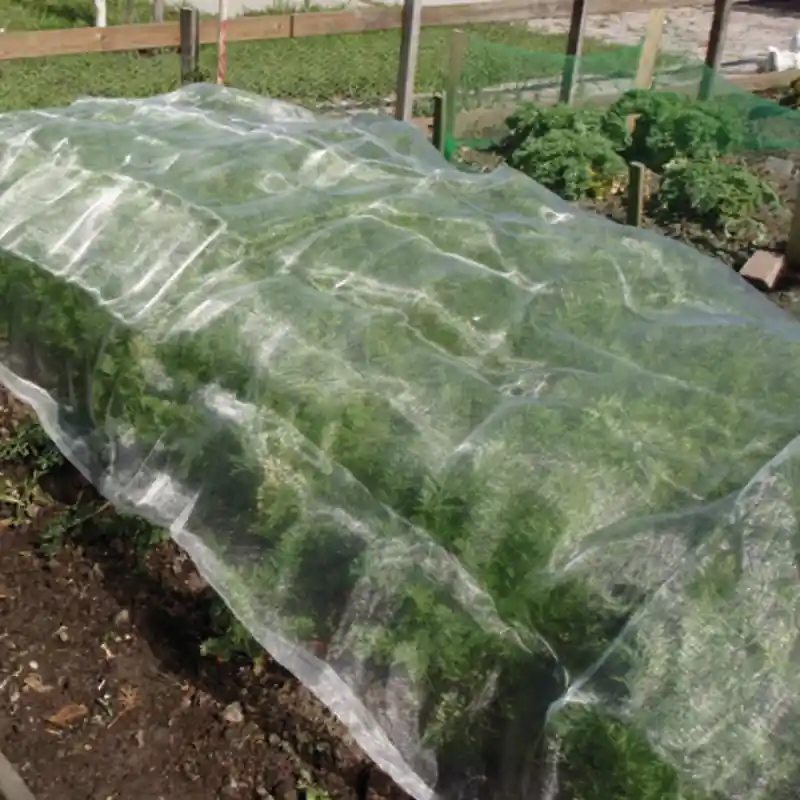 Granit Insektennetz 5,5 - 22 m² verschiedene Größen transparent Gemüsebeete Netz Echt