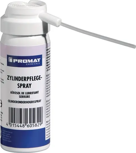 TECWERK CHEMICALS Zylinderpflegespray 50 ml Schnäppchen