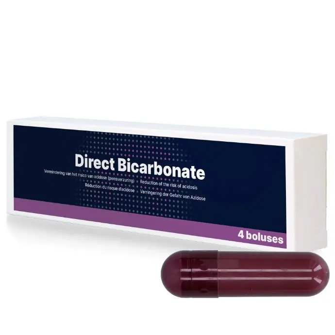 Ergänzungsfuttermittel Direct Bicarbonate Meistverkauft