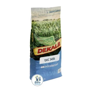 Preiswert Mais-Saatgut Dekalb DKC 3450 (S 250; ca. K 250)