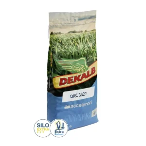 Letzte Chance Mais-Saatgut Dekalb DKC 3327 (S 230; ca. K 230)