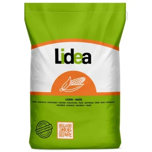 Mais-Saatgut Lidea LID2404C (S 250; K 240) Top-Angebot