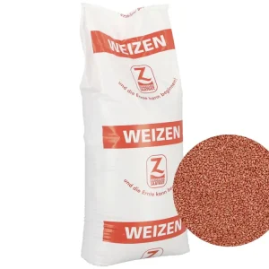 Winterweizen Saatgut Apostel ZS (A-Weizen) Meistverkauft