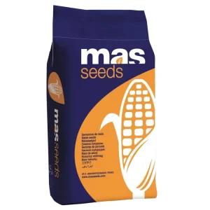 Markenware Mais-Saatgut Menhir MDM2533 ZS (ca. S 250)