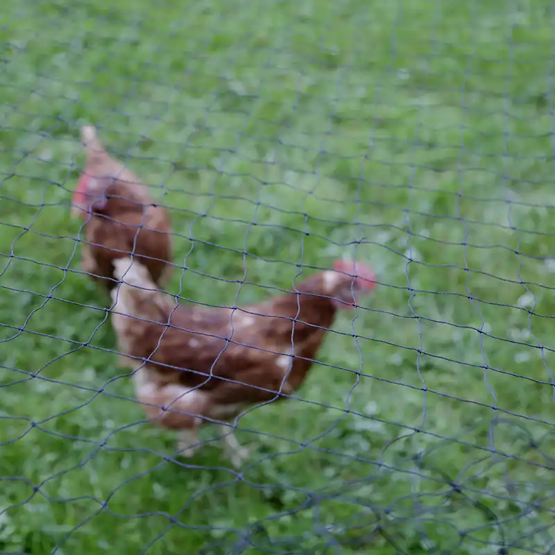 KERBL Raubvogelabwehrnetz 5x10 m Heißes Angebot
