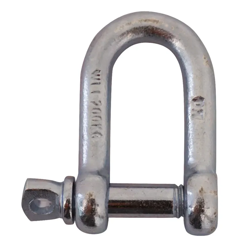 Schäkel 8 Top-Preis