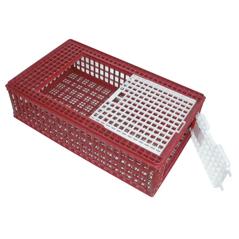Ausverkauf KERBL Geflügel Transportbox