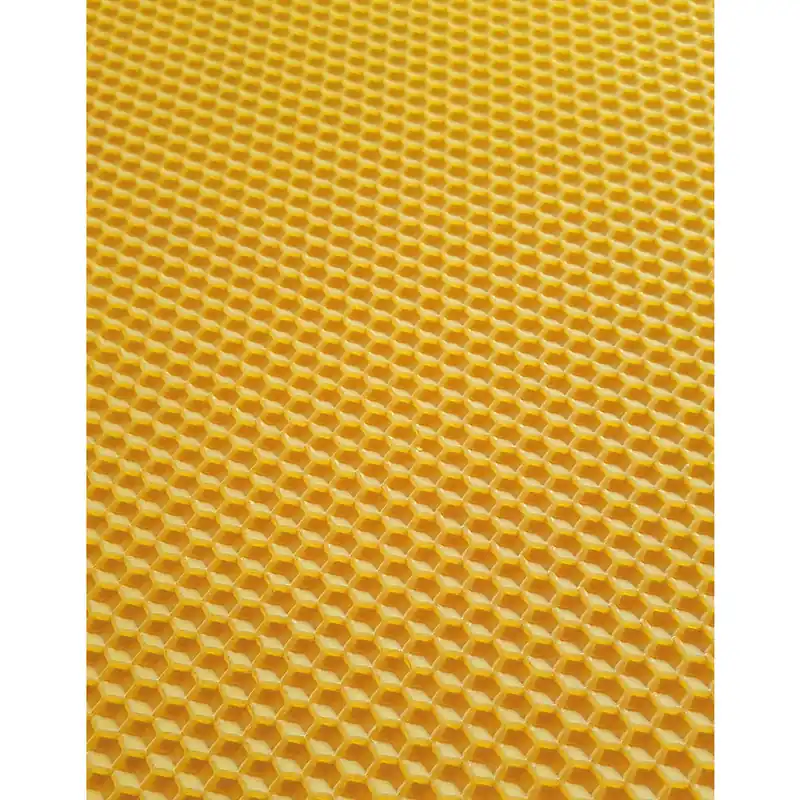 Neuheit Rückstandsarme Mittelwände Zander 2kg Flachzarge