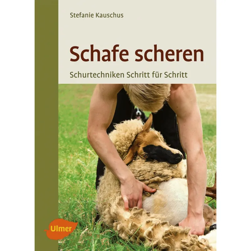 Wochenendangebot Schafe scheren