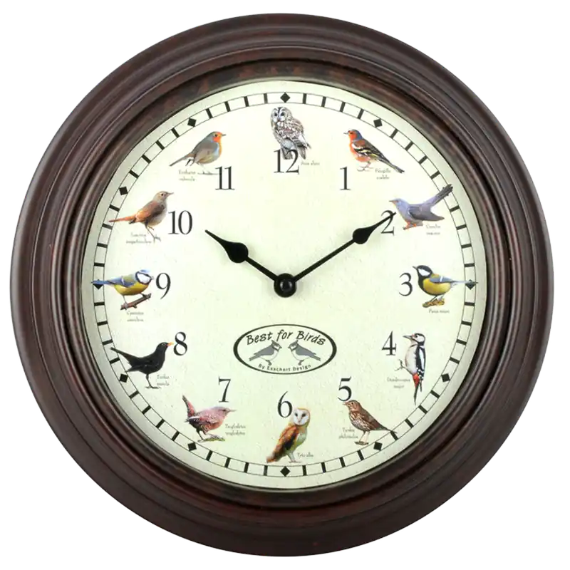 Uhr mit Vogelrufen Echt
