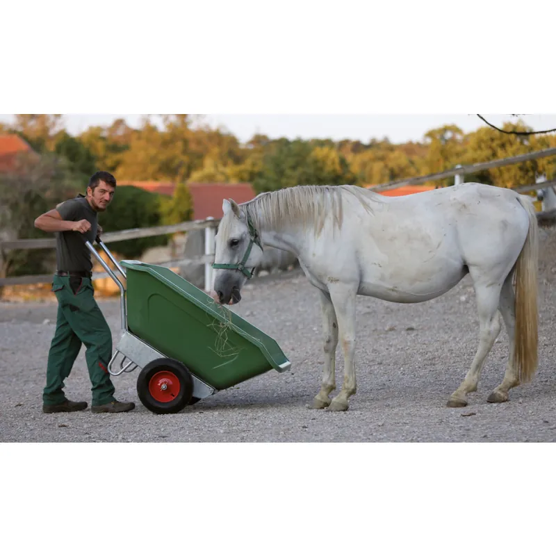 roto Schiebetruhe 250 L kippbar Neu Im Sortiment