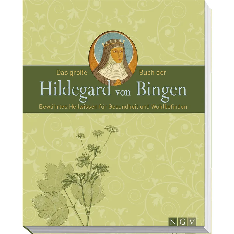 Das große Buch der Hildegard von Bingen Ausverkauf