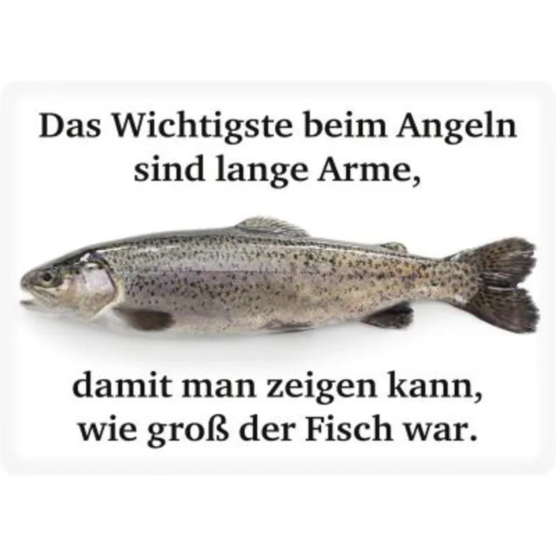Top-Angebot Blechschild Das Wichtigste beim Angeln sind lange Arme