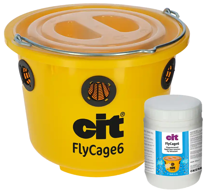 Preiswert cit Fliegenfalle FlyCage6*
