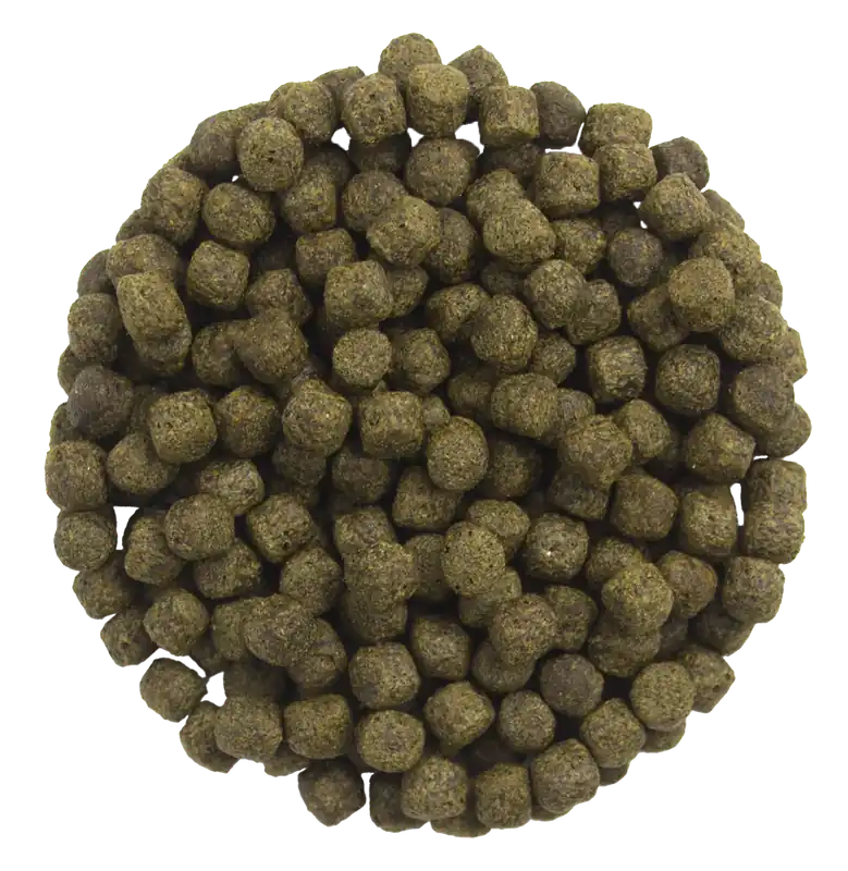 Preisreduziert Koifutter Spirulina 15 kg 15