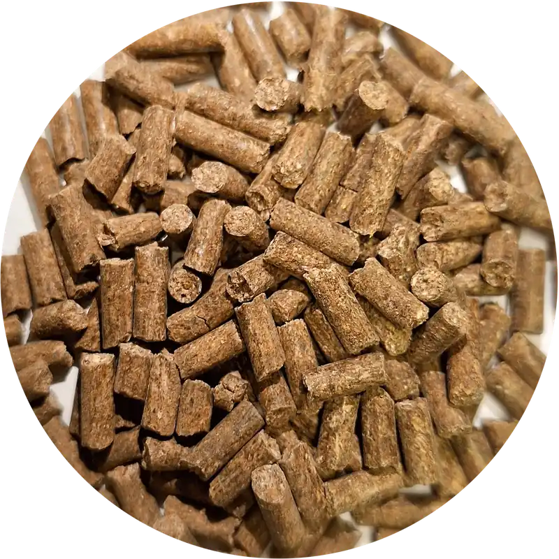 Mega-Angebot Pferdefutter Gold Mineral 10
