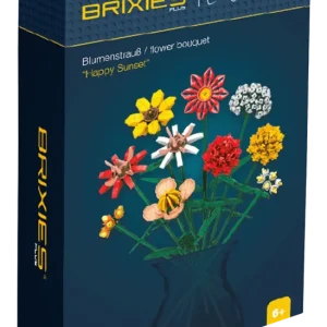 Wochenendangebot BRIXIES Plus Strauß Happy sun