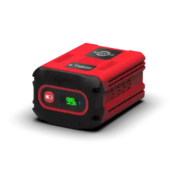 Neu CRAMER 82 Volt Akku 82V290P