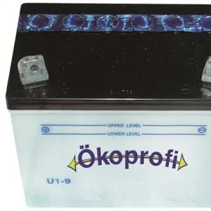 Preisreduziert Batterie 12V 24AH U1L9