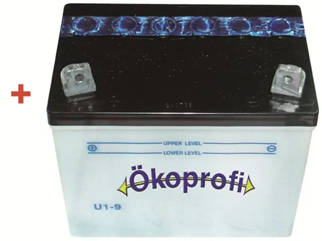 Preisreduziert Batterie 12V 24AH U1L9