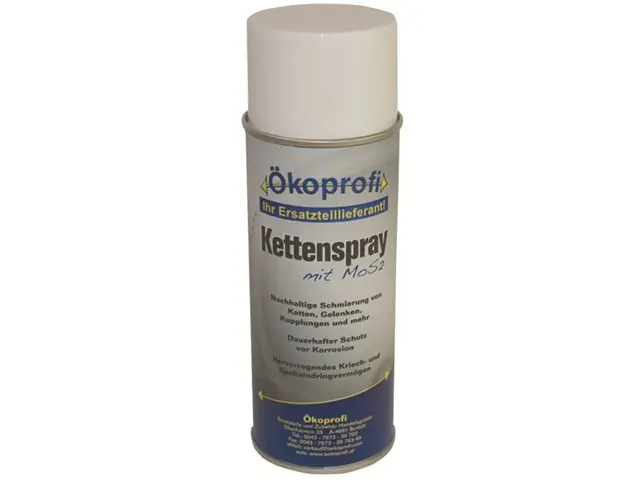 Kettenspray 400 ml Bestpreis