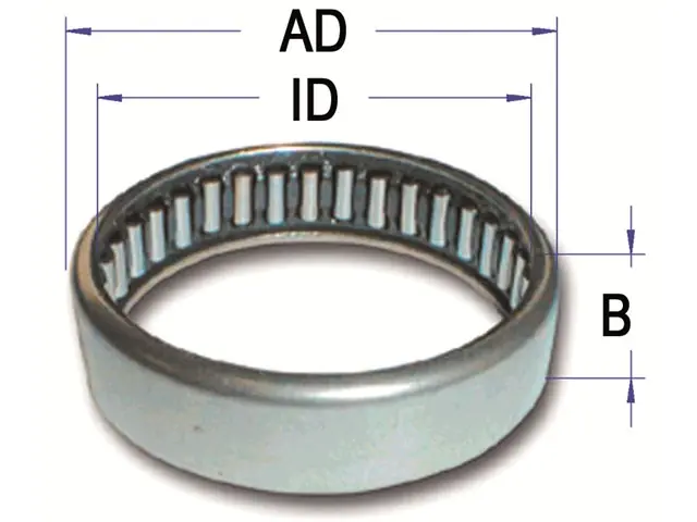 Preisreduziert Nadellager HK2538