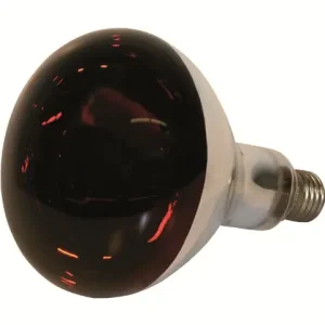 Infrarotlampe 250 W Hartglas, rot Direktkauf