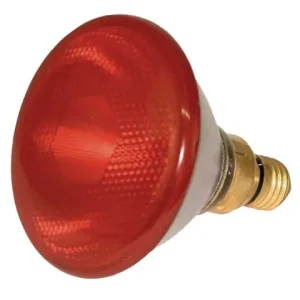 Schnäppchen Infrarotlampe 175 Watt