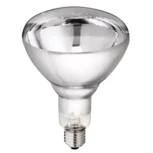 Hartglaslampe Philips 250W 240V, klar Angebot