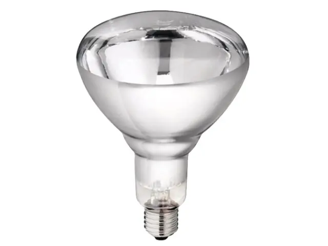 Hartglaslampe Philips 250W 240V, klar Angebot