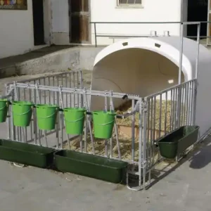 CalfHouse XL Premium mit Umzäunung Super-Preis