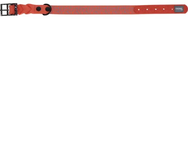 Halsband Puno, orange, 25mm x 56 -65 cm Zertifiziert