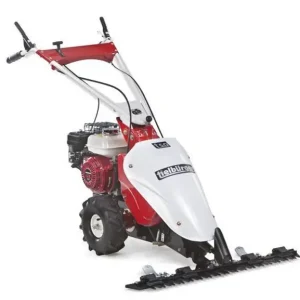 Sonderangebot Tielbürger Balkenmäher t50 Briggs&Stratton