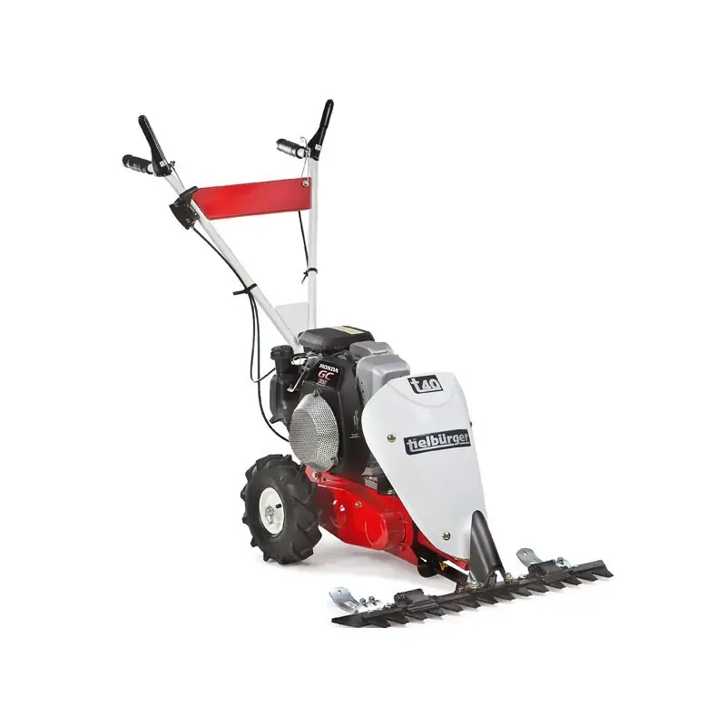 Tielbürger Balkenmäher t40 Briggs&Stratton Markenprodukt