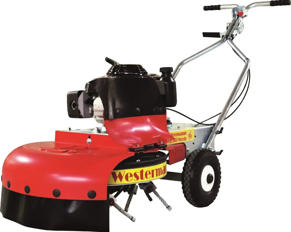 Letzte Chance Westermann Wildkrautbürste WKB 660 Honda GXV 160 OHV