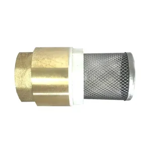 Fußventil Messing, mit NIro-Saugkorb, 1", 1x IG Sonderaktion