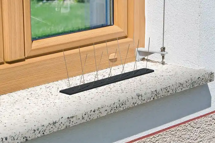 Markenware Vogel- u.Taubenabwehr Starter Set Schutz b.1 m,36 Spikes Ku.WINDHAGER