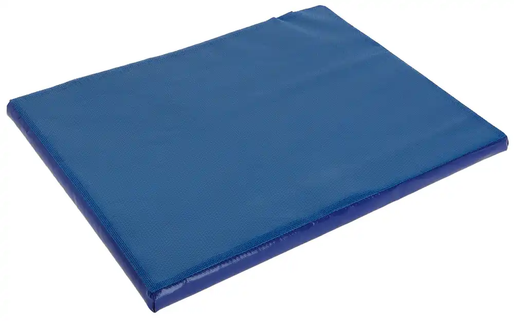 Kerbl Desinfektionsmatte - klein - 55x45x3 cm Preisknaller
