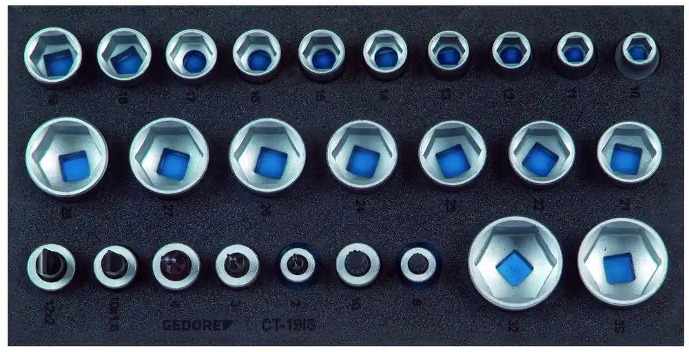 GEDORE 1500 CT1-19 IS Satz Steckschlüsseleinsätze 1/2" in Check-Tool-Modul Saisonangebot