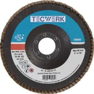 Sonderangebot Fächerscheibe D.125mm K.60 fl.INOX ZK TECWERK VE: 10 Stück