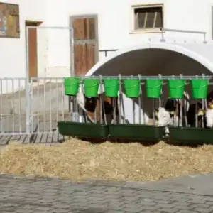 Kerbl CalfHouse Premium XXL Kracherpreis