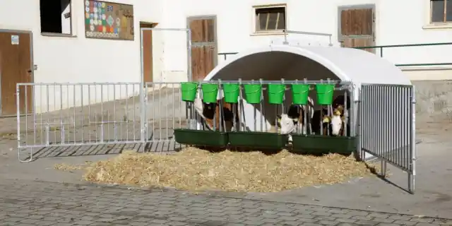 Kerbl CalfHouse Premium XXL Kracherpreis