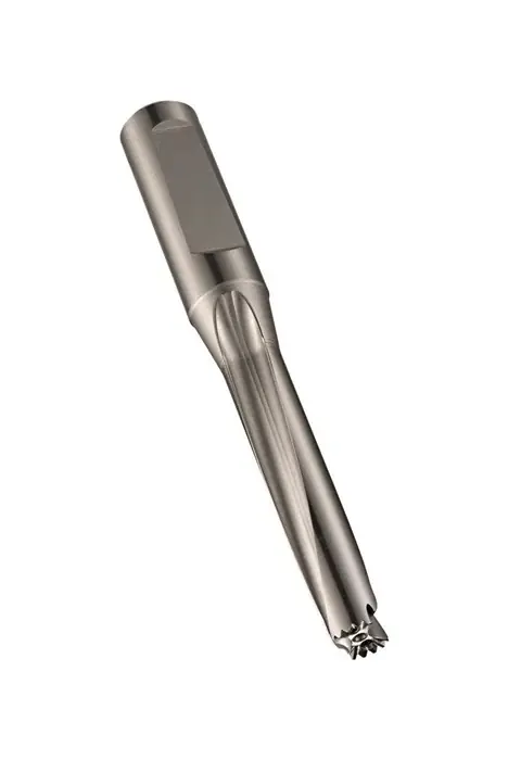 Sichere Zahlung Bohrwechselkopfträger H855 Gesamt-L. 130mm DORMER