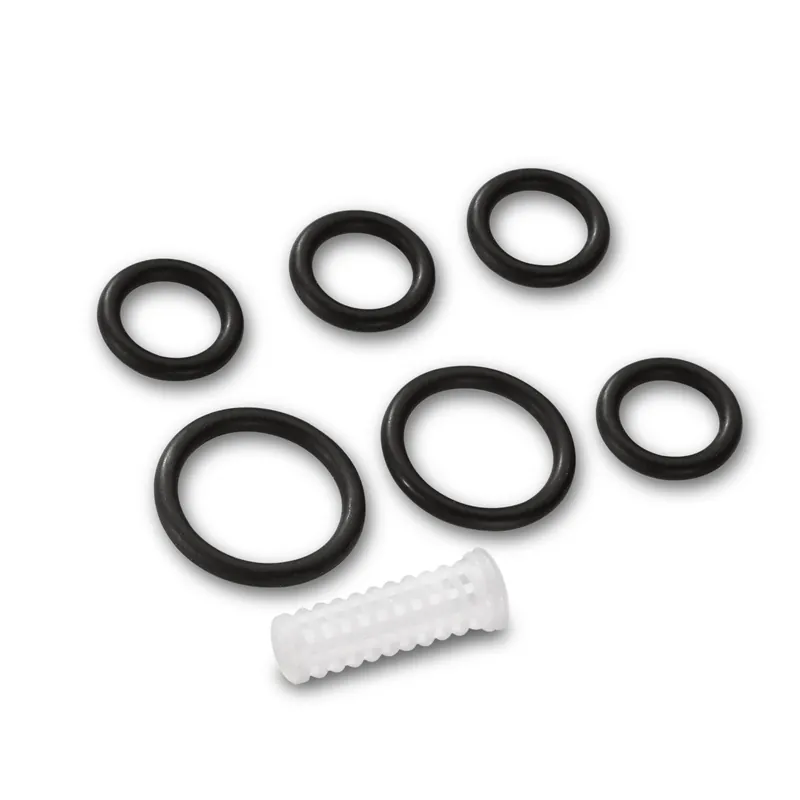 Kärcher O-Ring Set Kracherpreis