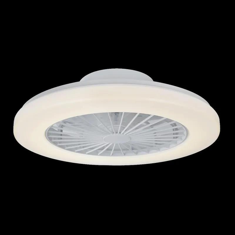 Schnäppchen Deckenleuchte 55W