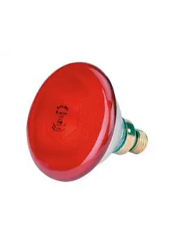 Online Kaufen Infrarot-Sparlampe - Philips - Pressglas - 100 bis 175 W